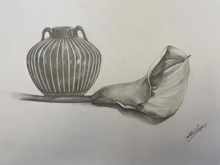 'Vase and Calla Lily' - Still Life Sketch