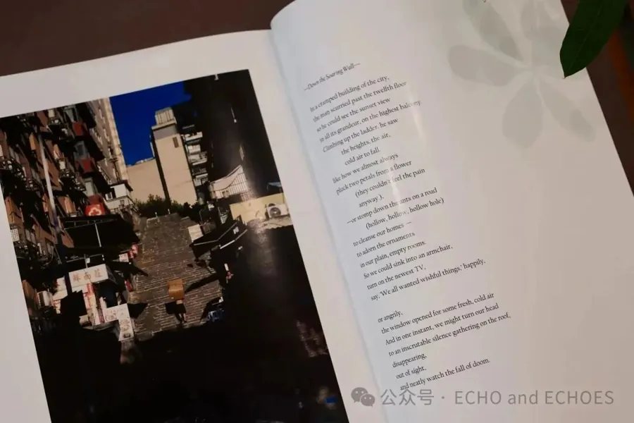 ECHO Issue 7: Vessel